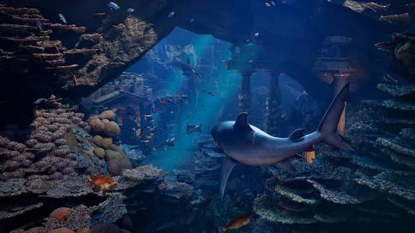 Maneater 2 é anunciado para PS5, Xbox Series, Switch 2 e PC com lançamento em 2027 3 Maneater 2