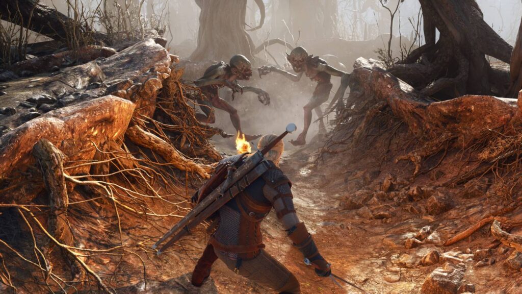 The Witcher